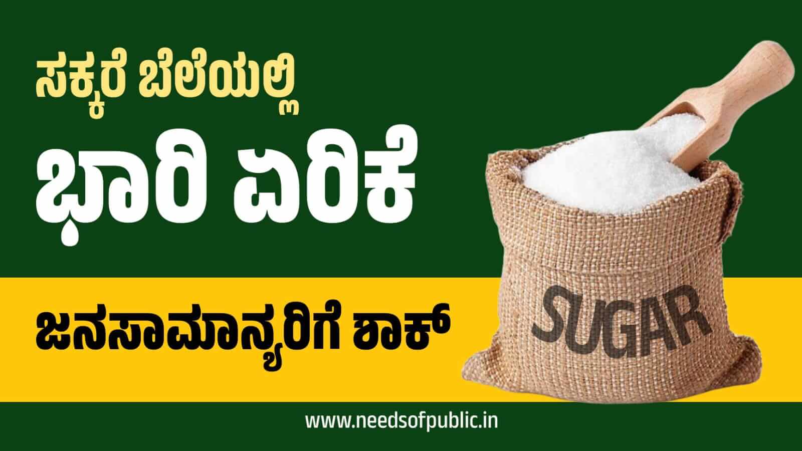 WhatsApp Image 2023 09 09 at 2.29.36 PM