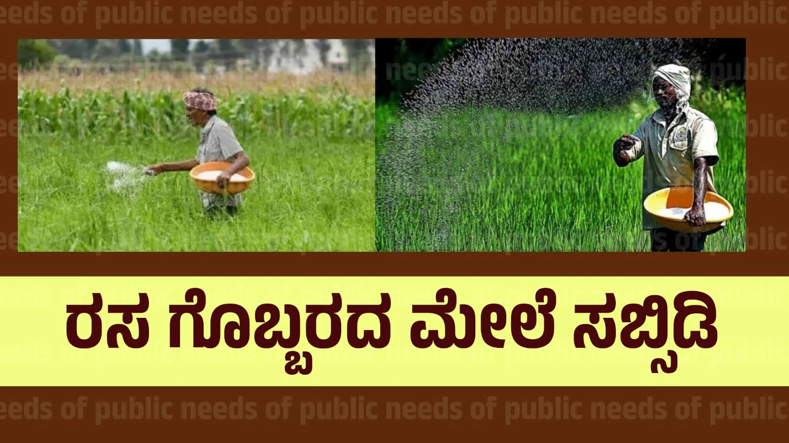 fertilizers subsidy