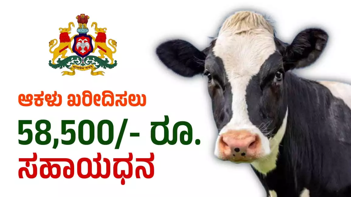 Subsidy by Department of Animal Husbandry