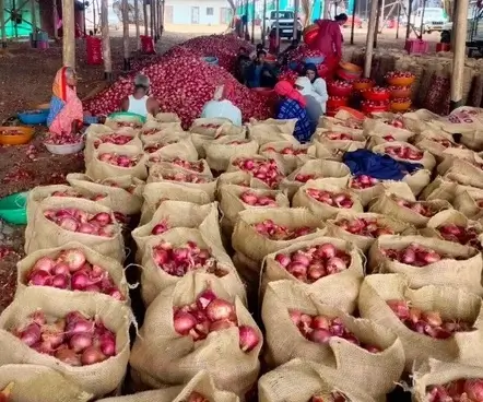 onion rate karnataka