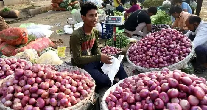 onion rate today