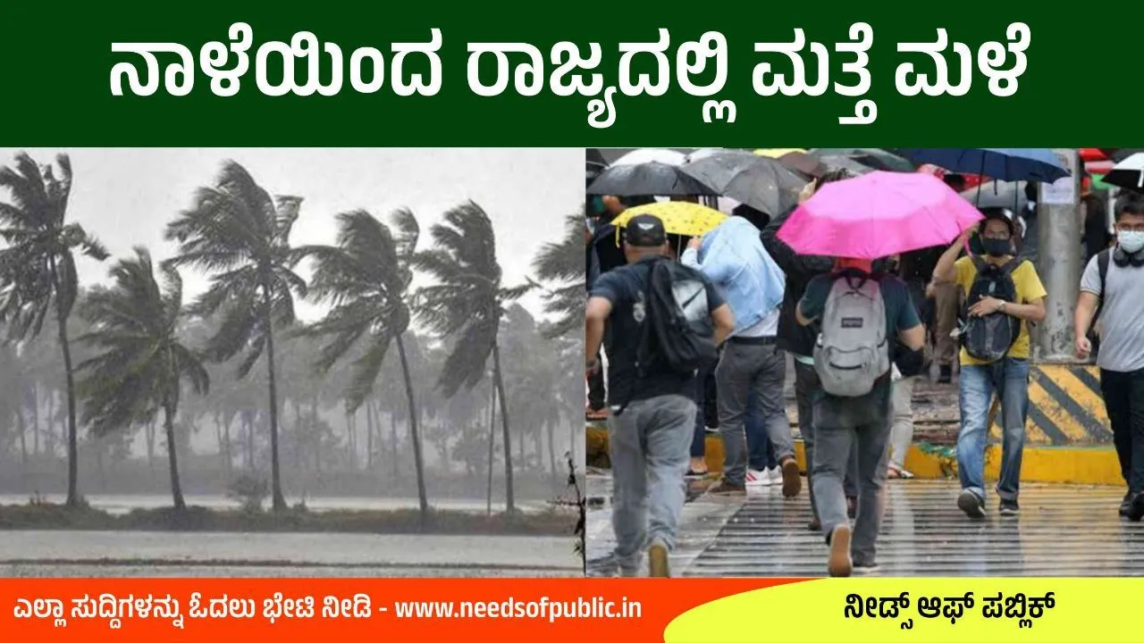 rain info today