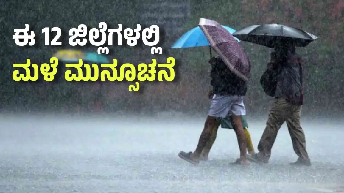 RAIN ALERT 5