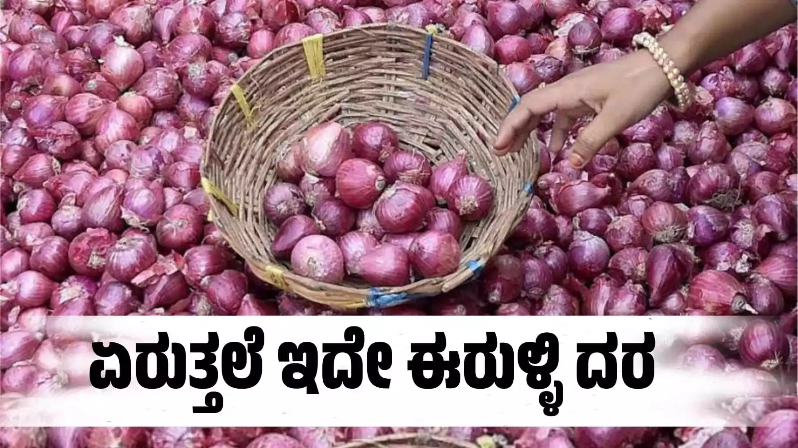 hike in onion price