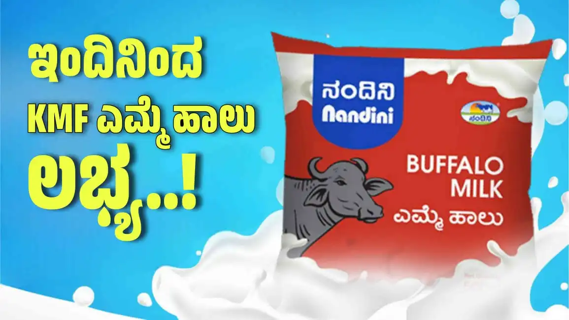 kmf milk