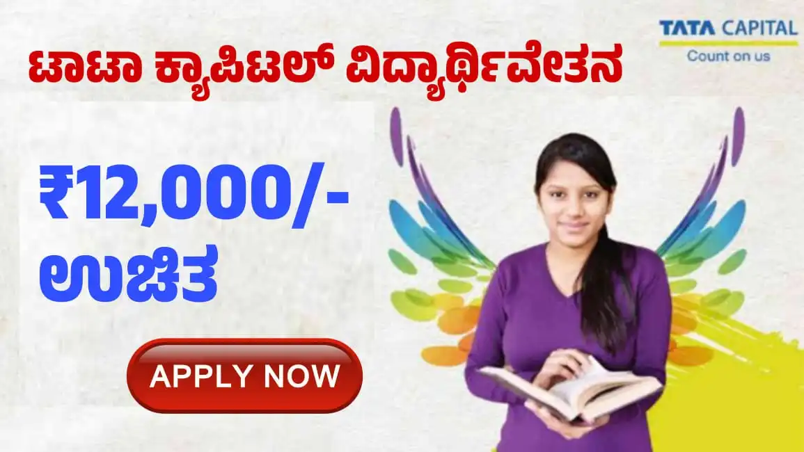 scholarship 2024
