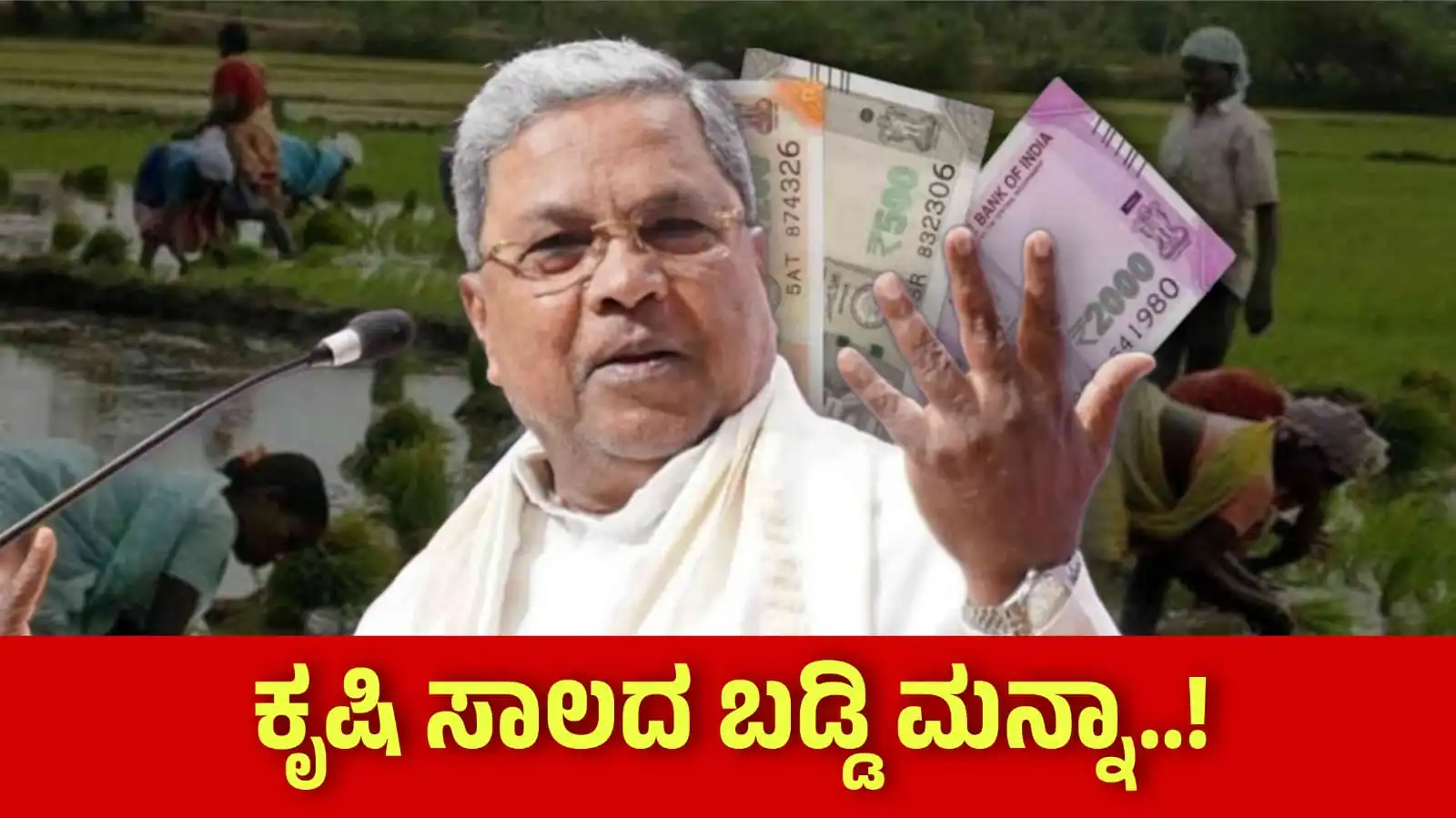 agricultural loan wained off