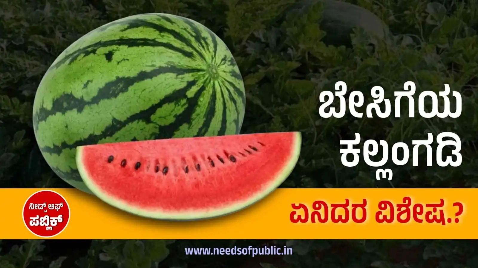watermelon for skin care