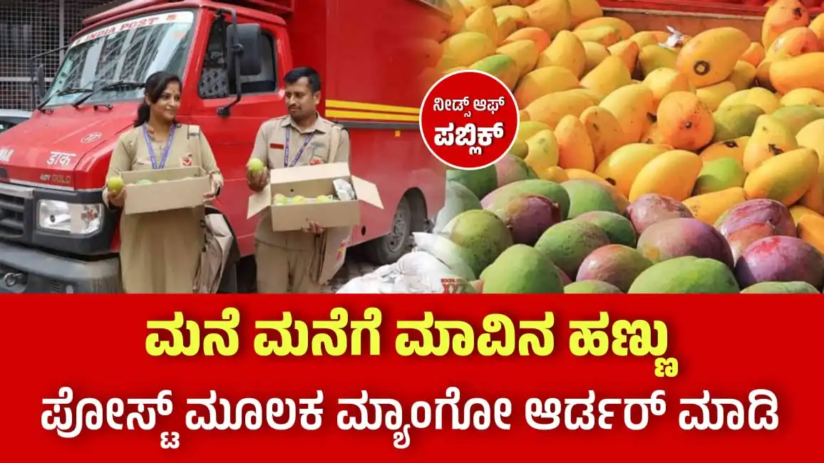 mango home delivery