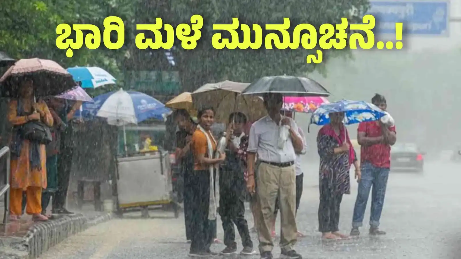 rain alert 8