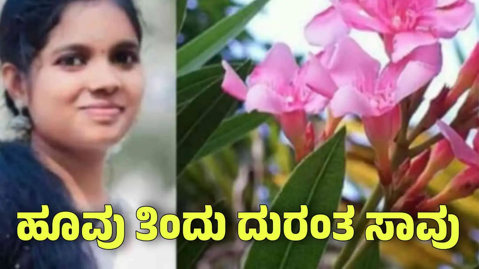 nurse death due to oleader floert