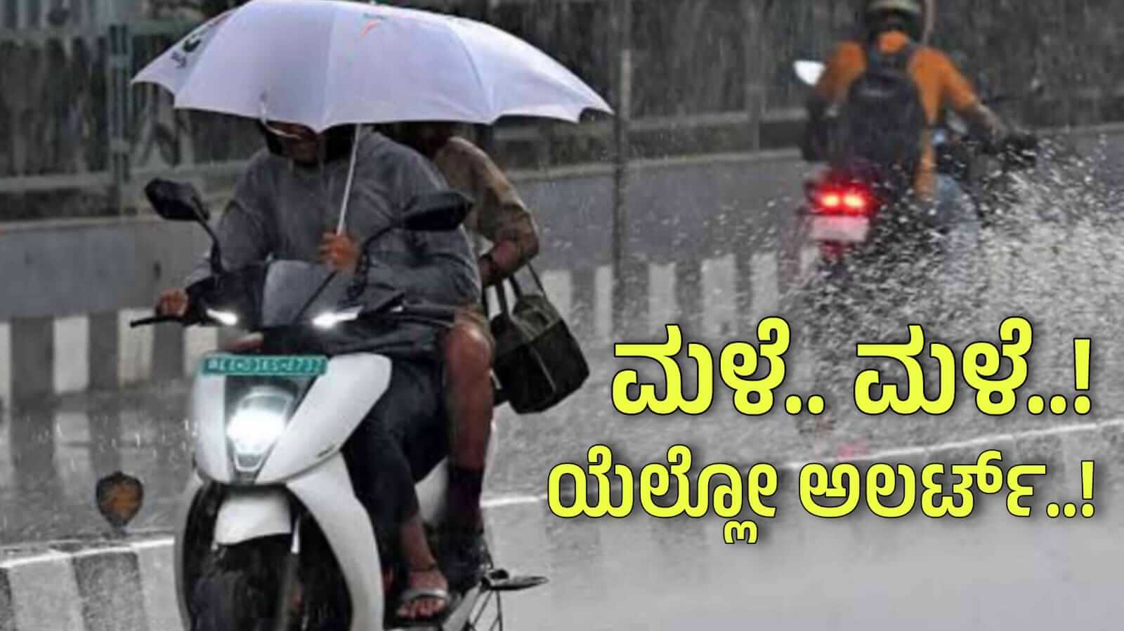 WhatsApp Image 2024 07 22 at 7.50.26 AM
