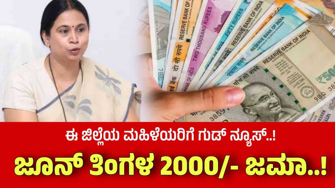 WhatsApp Image 2024 08 14 at 8.37.48 AM