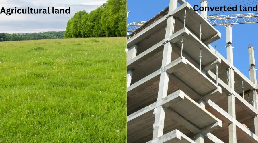 agricultural land vs. converted land 36