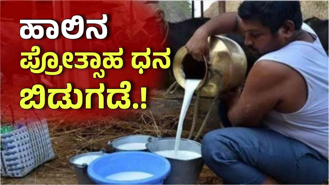 WhatsApp Image 2025 03 09 at 4.41.57 PM
