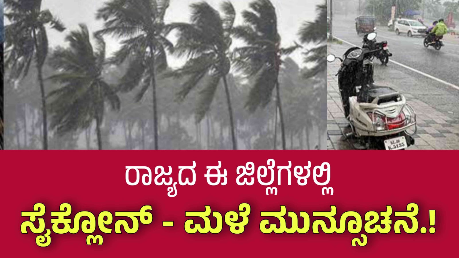 WhatsApp Image 2025 03 12 at 12.35.37 PM