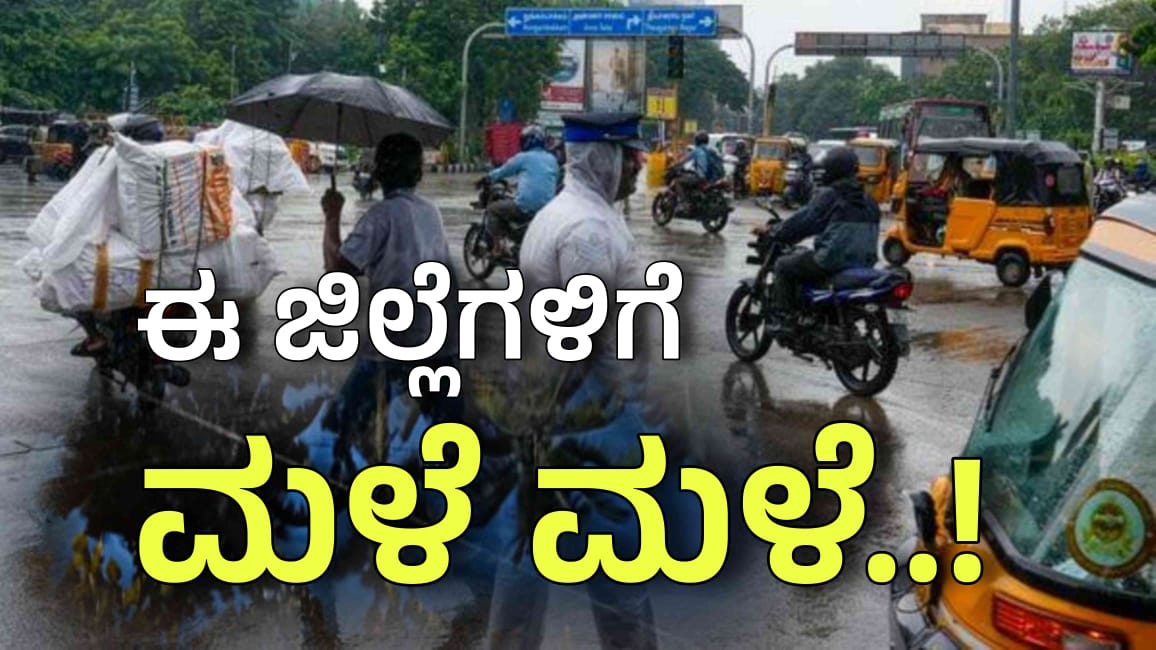 WhatsApp Image 2025 03 21 at 2.31.16 PM