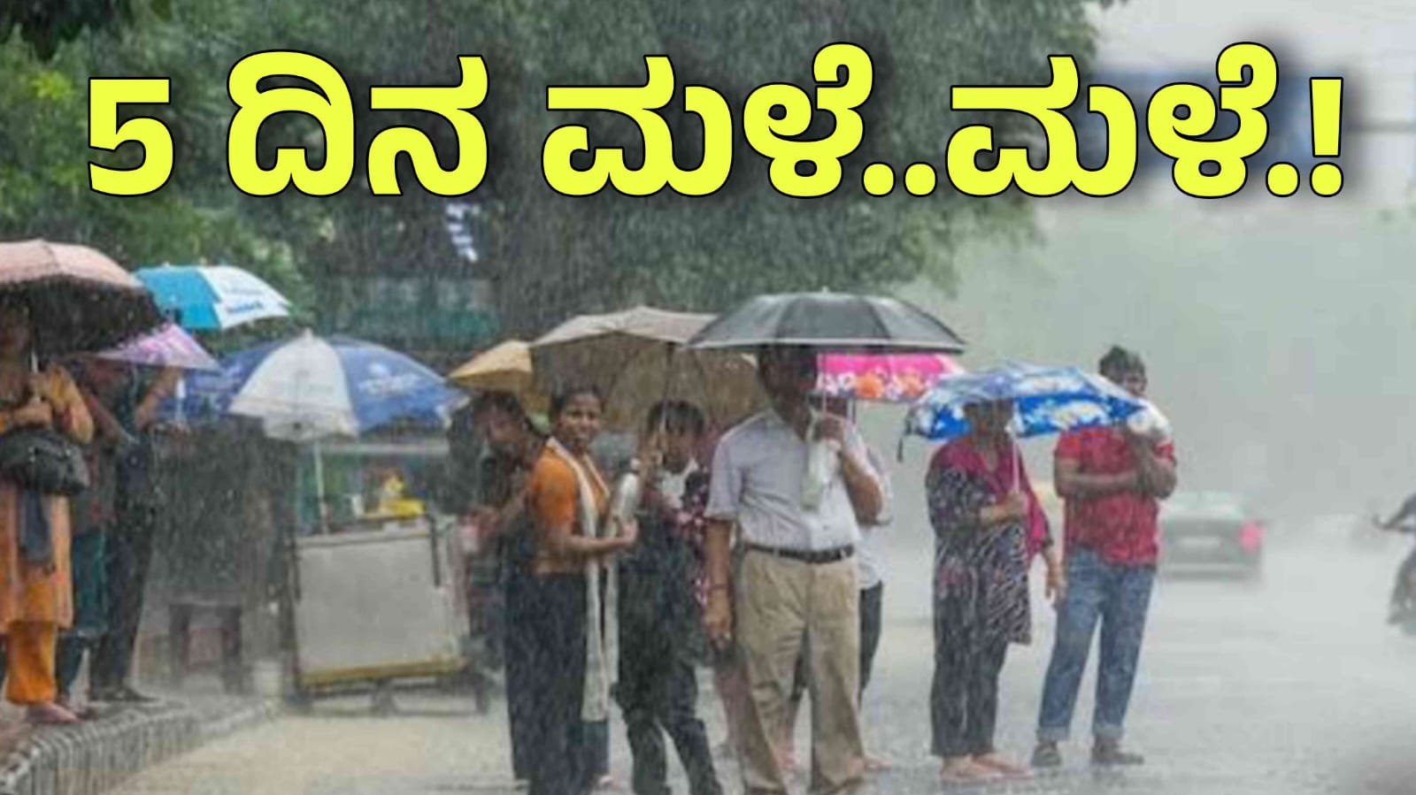 WhatsApp Image 2025 03 23 at 9.14.13 AM