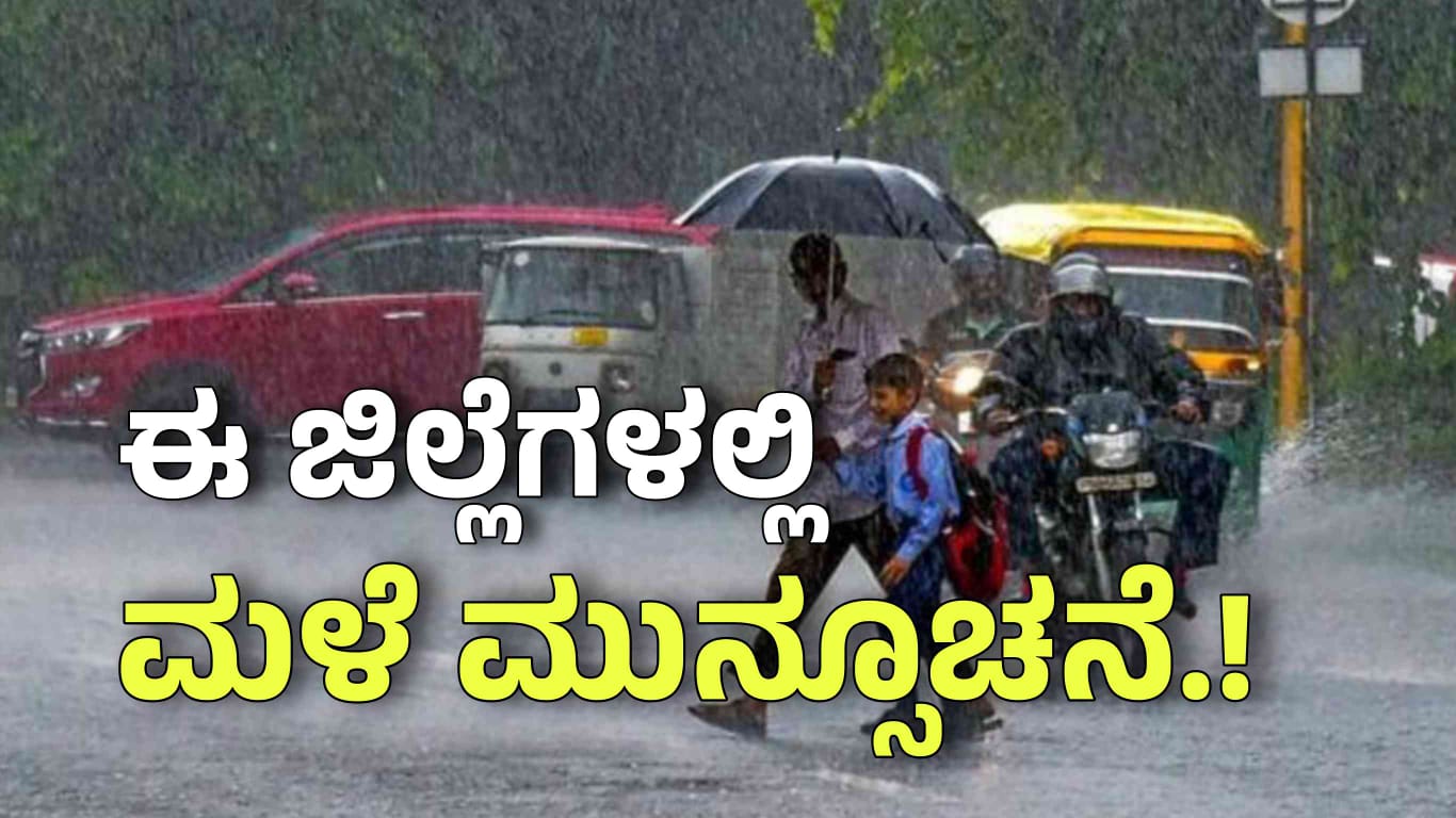 WhatsApp Image 2025 03 29 at 3.54.57 PM