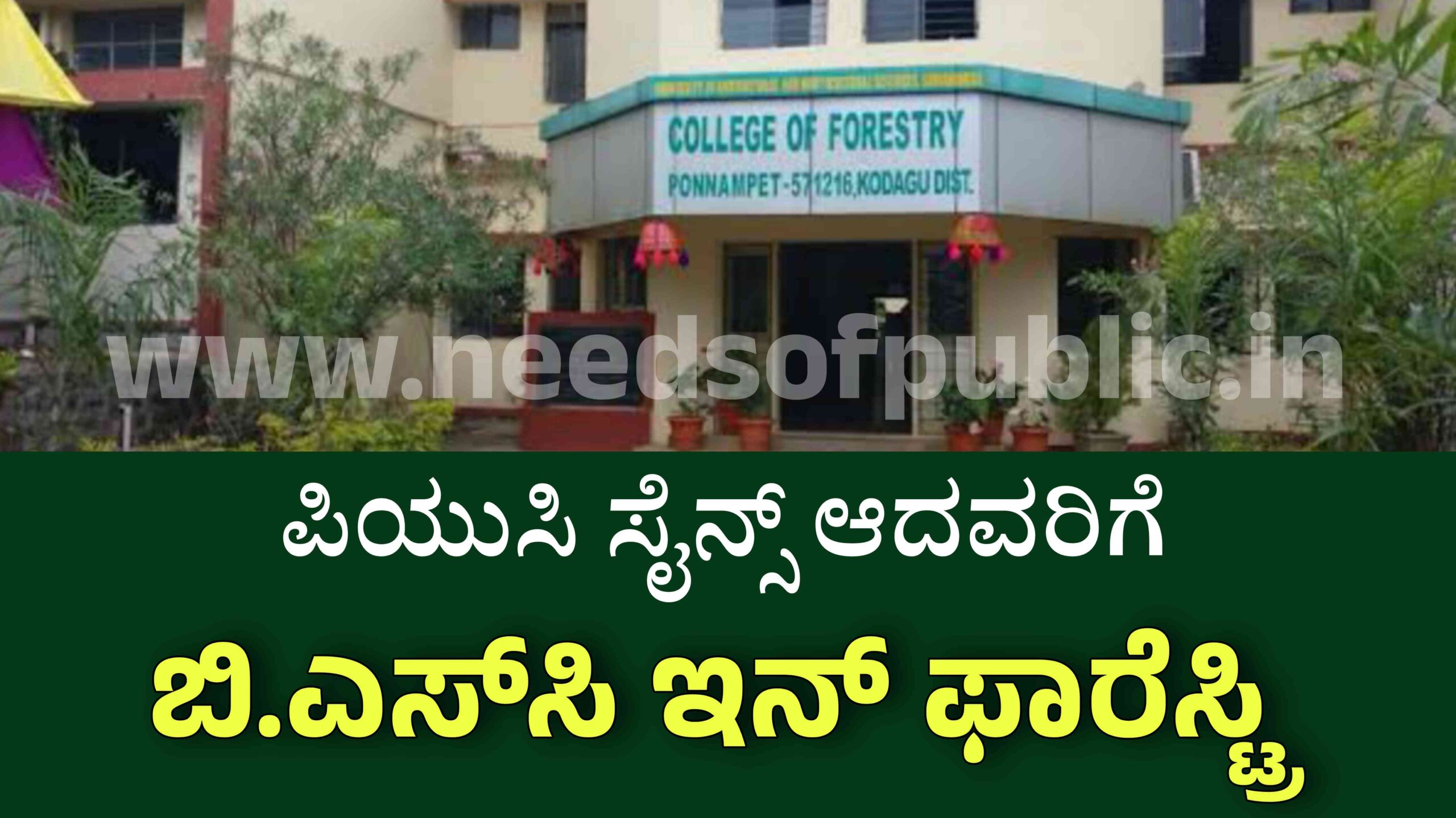 Picsart 25 04 17 17 02 02 200 scaled