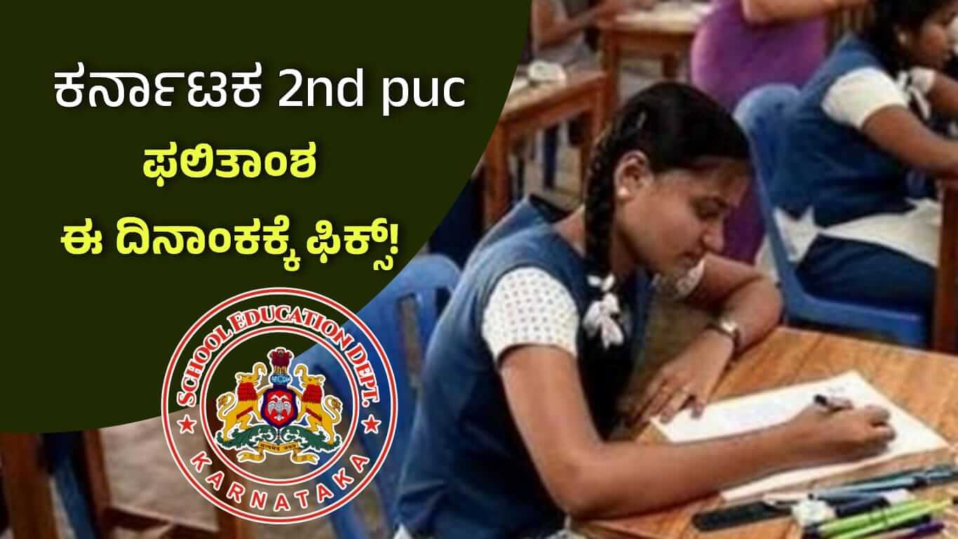 WhatsApp Image 2025 04 01 at 14.41.13