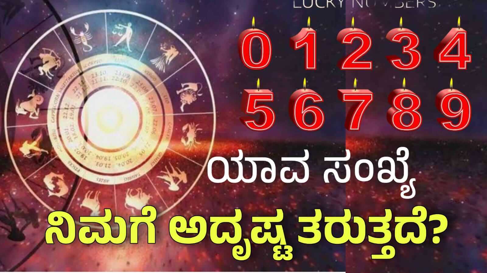 WhatsApp Image 2025 04 02 at 12.06.04