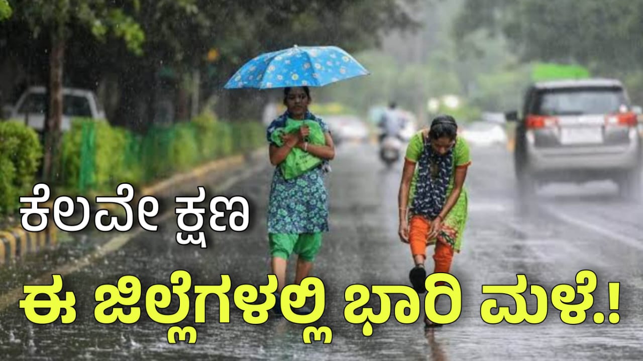 WhatsApp Image 2025 04 03 at 6.26.46 PM