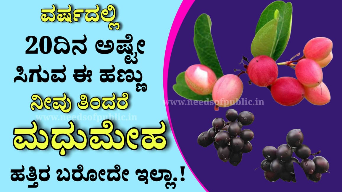 WhatsApp Image 2025 04 16 at 1.36.57 PM