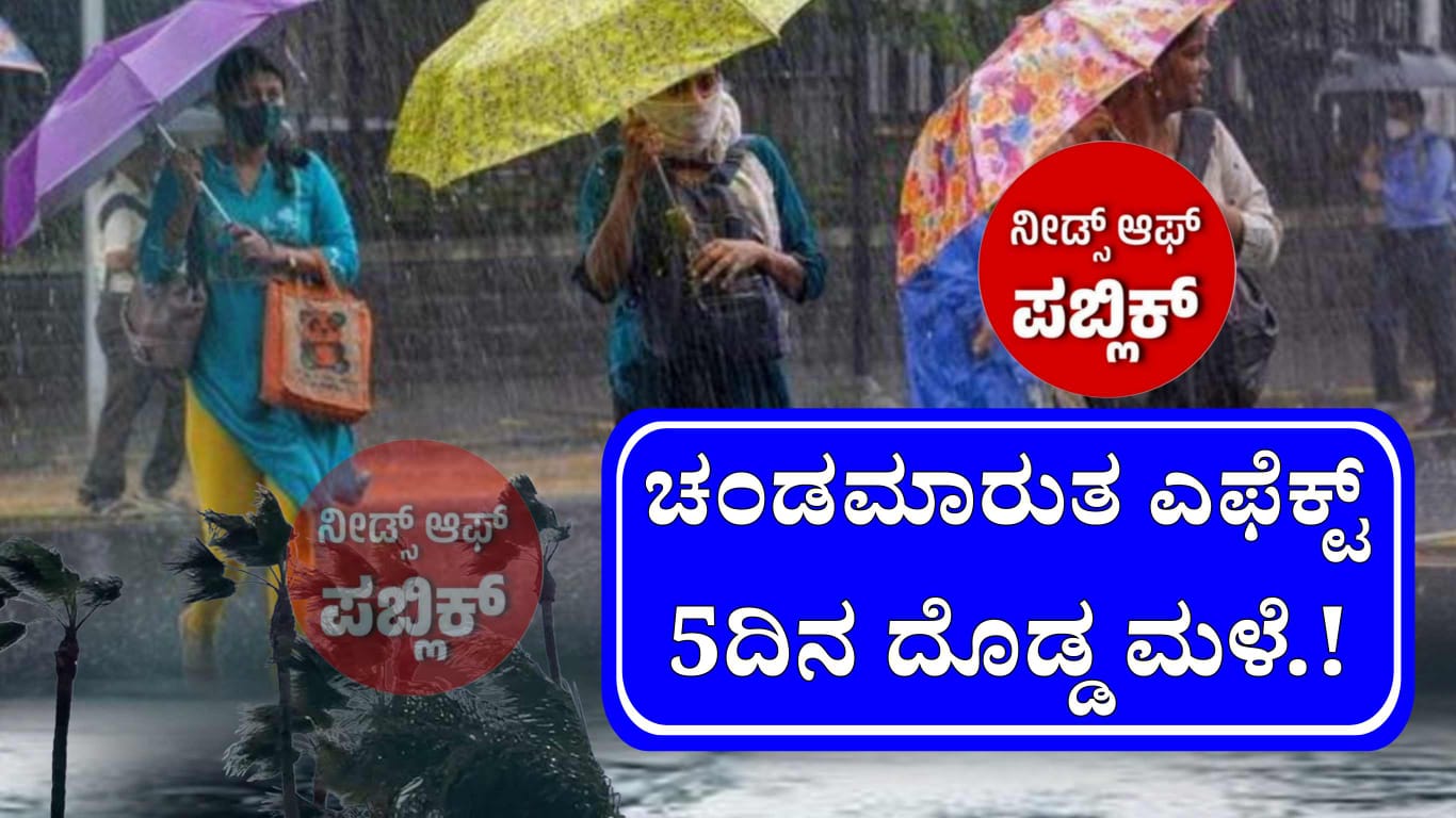 WhatsApp Image 2025 04 24 at 5.40.31 PM