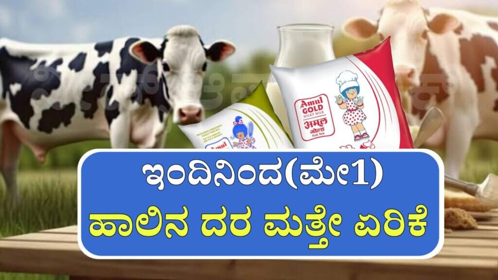 WhatsApp Image 2025 05 01 at 12.11.27 PM