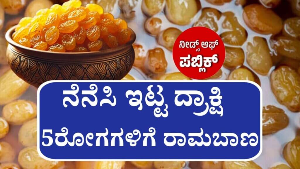 WhatsApp Image 2025 05 01 at 8.54.50 PM 1