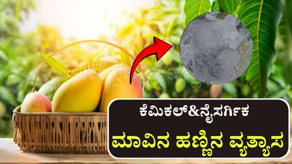 WhatsApp Image 2025 05 10 at 7.26.37 PM