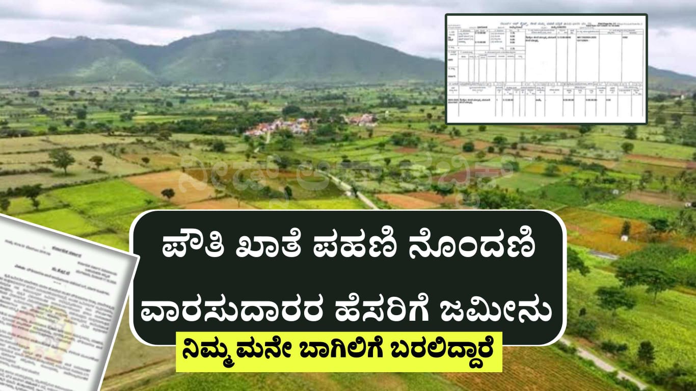 WhatsApp Image 2025 05 11 at 11.33.27 AM