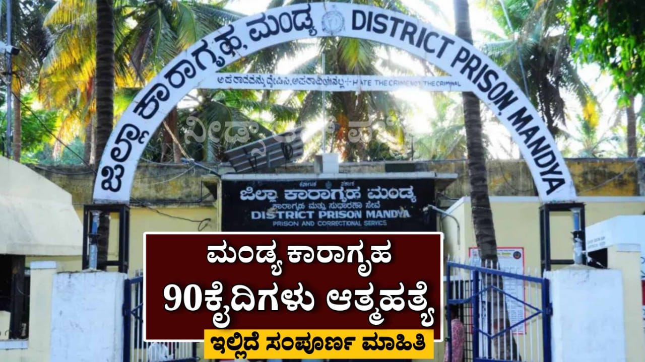 WhatsApp Image 2025 05 11 at 3.57.17 PM