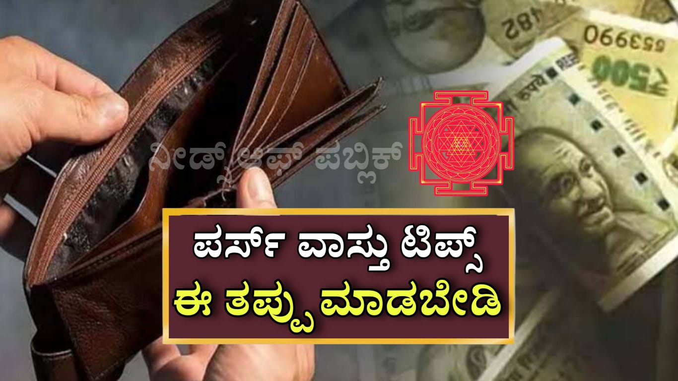 WhatsApp Image 2025 05 12 at 12.53.39 PM