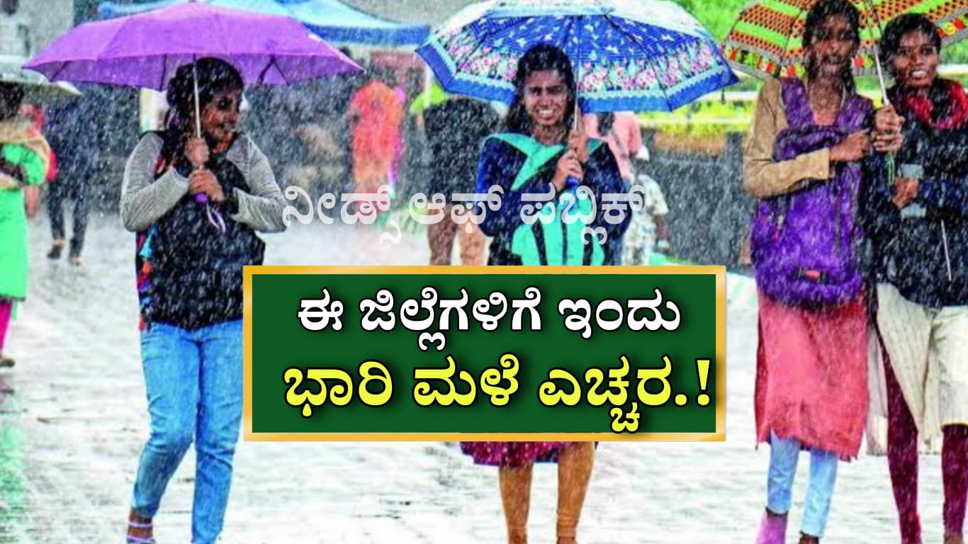 WhatsApp Image 2025 05 12 at 2.19.47 PM