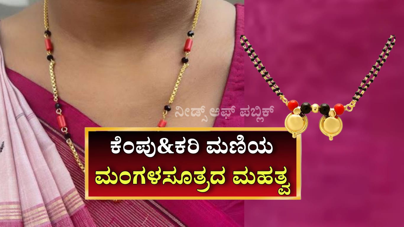 WhatsApp Image 2025 05 12 at 5.00.29 PM