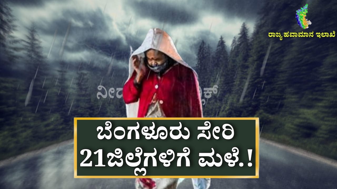 WhatsApp Image 2025 05 13 at 11.27.53 AM