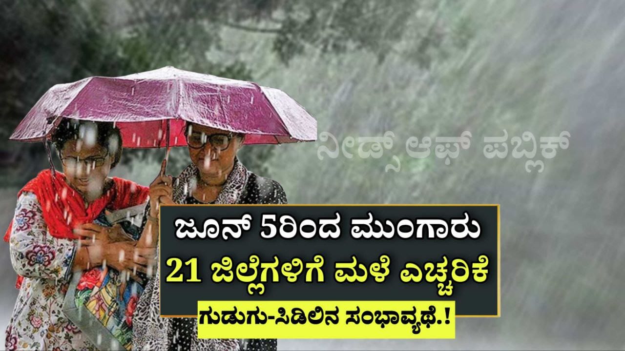 WhatsApp Image 2025 05 14 at 12.52.31 PM