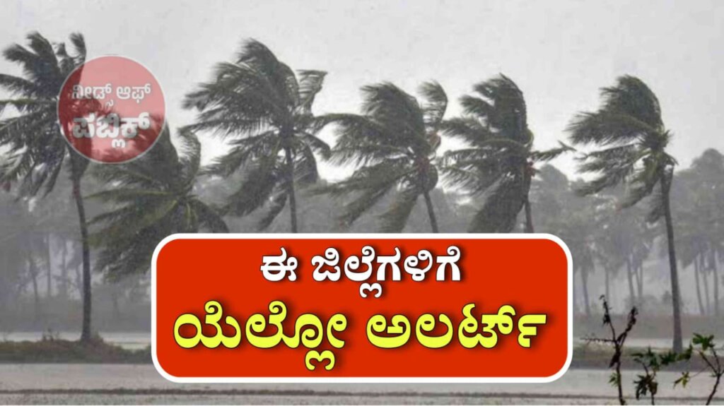 WhatsApp Image 2025 05 14 at 8.30.14 PM