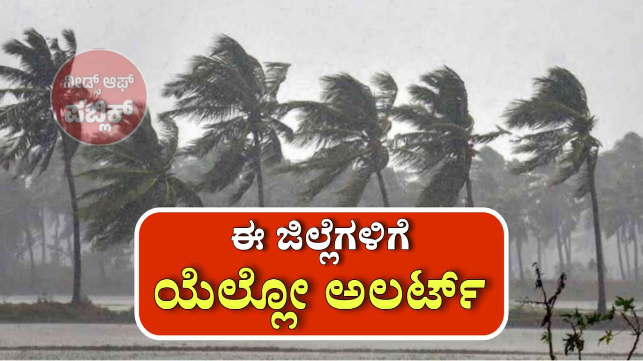 WhatsApp Image 2025 05 14 at 8.30.14 PM