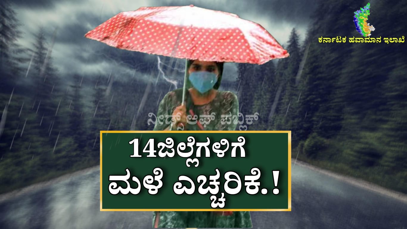 WhatsApp Image 2025 05 16 at 3.02.34 PM