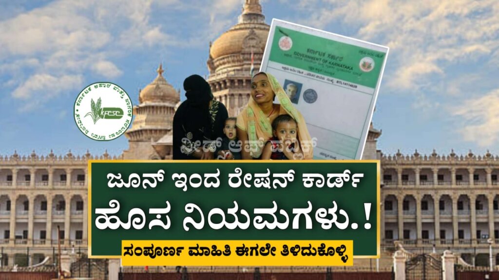 WhatsApp Image 2025 05 16 at 3.44.27 PM
