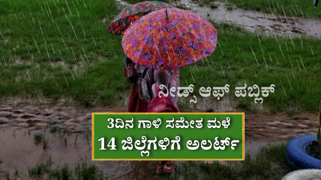 WhatsApp Image 2025 05 19 at 1.15.27 PM