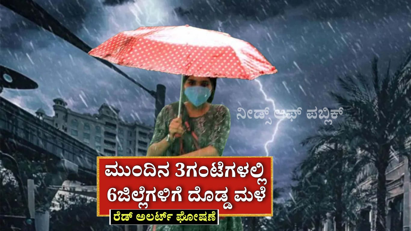 WhatsApp Image 2025 05 20 at 6.10.55 PM