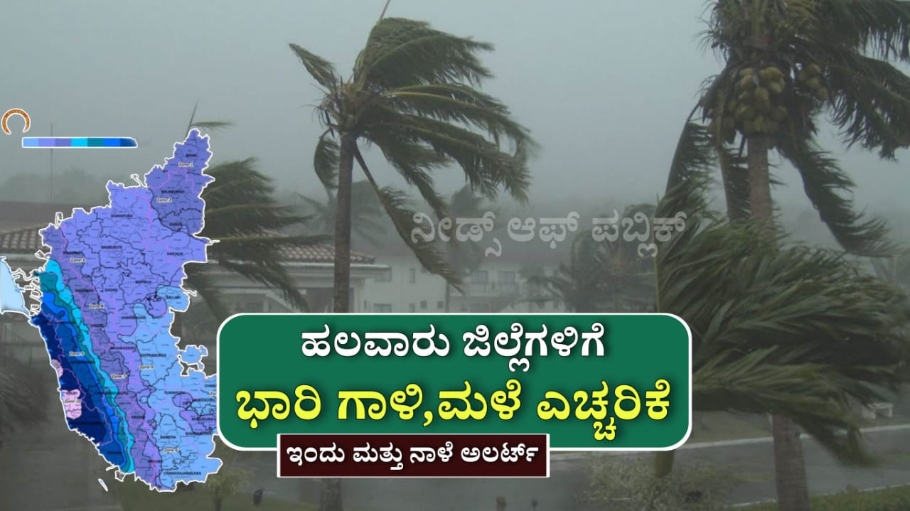 WhatsApp Image 2025 05 22 at 3.51.14 PM