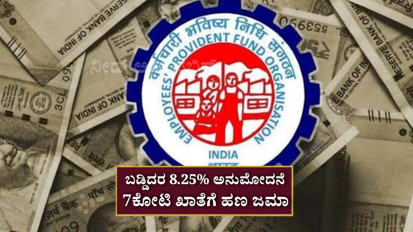 WhatsApp Image 2025 05 25 at 12.05.18 PM 2