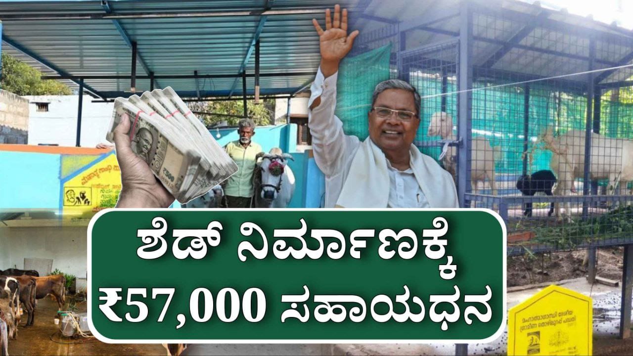 WhatsApp Image 2025 05 31 at 1.32.51 PM