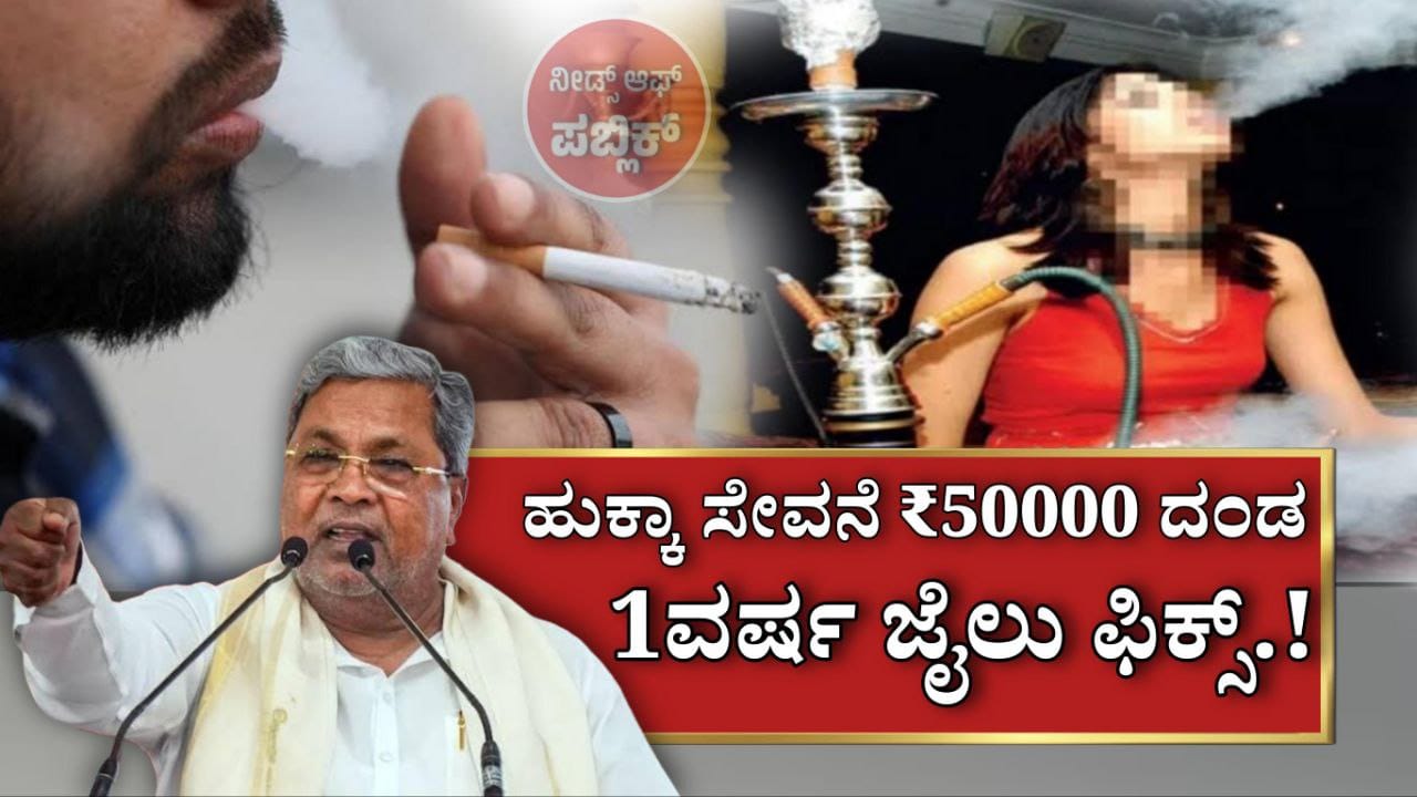 WhatsApp Image 2025 05 31 at 2.50.50 PM