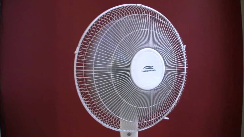 fan